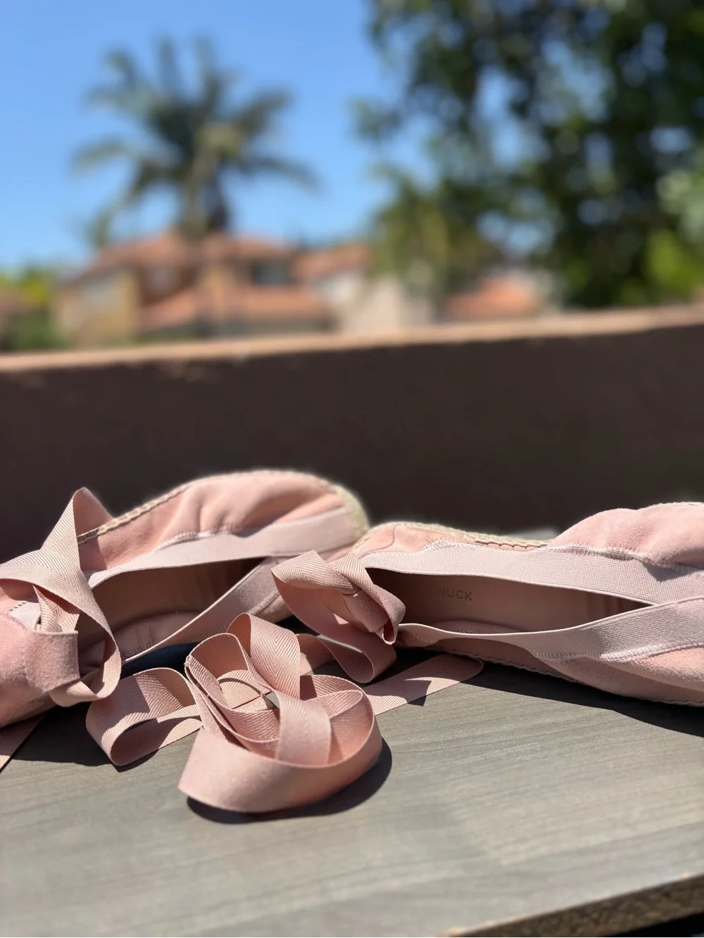 Tuckernuck Ballet Pink Suede Jade Flats Ribbon Tie Espadrilles